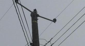 Installation of a pole for electricity