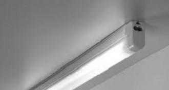 What harm is caused by fluorescent lamps to our health
