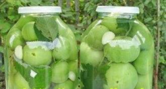 Green tomatoes for the winter - the most delicious and simple recipes