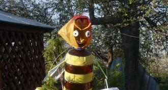 DIY bees from plastic bottles Video: DIY funny bees from plastic bottles