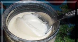 Ease of use of a yogurt maker and tips for choosing the right model