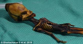 The mystery of the Atacama humanoid is revealed New data on the old find