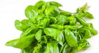 How to freeze basil for the winter at home in the freezer How to freeze basil leaves for the winter