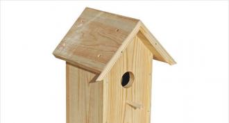 Video tutorial on how to make a simple birdhouse with a flat roof