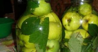 Soaked apples: the subtleties and nuances of cooking at home