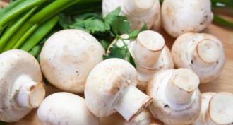 Паста карбонара с грибами: варианты приготовления