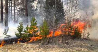 1 fire safety regulations in forests