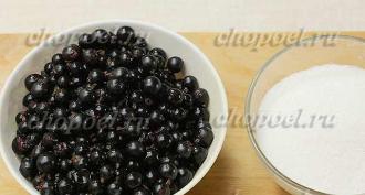 Five-minute blackcurrant jam recipes with photos step by step