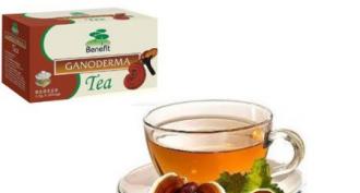 How to make tea with reishi mushroom to strengthen the immune system Tea with fireweed and reishi mushroom